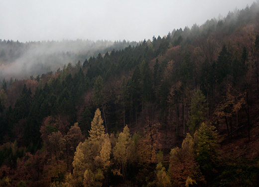 Herbstlandschaft, warme Farben